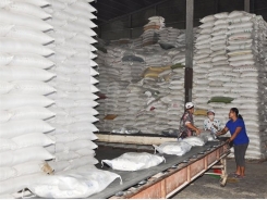Cơ hội xuất khẩu gạo đang mở