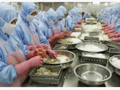 Vietnam mainly exports whiteleg shrimp to belgium