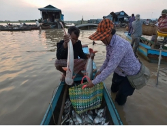 Vietnam sets $10 billion aquaculture export target