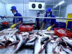 Imports of aquatic products exceed US$1.7b in 2018