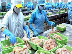 Financial report for fourth quarter: Seafood enterprises gain good revenue