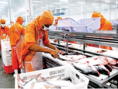 Việt Nam world’s fourth biggest seafood exporter