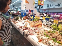Future of Vietnamese seafood, tra fish exports hangs in balance