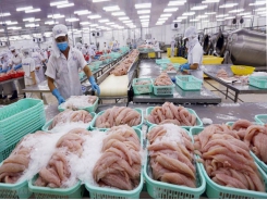 January seafood export is estimated to reach $644m