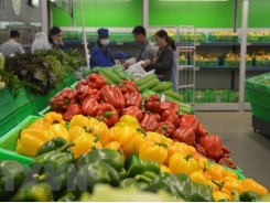 Vietnam targets 5 billion USD from fruit, vegetable exports in 2020