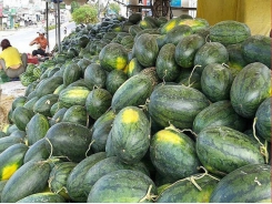 nCoV epidemic pinches Vietnamese farmers hard