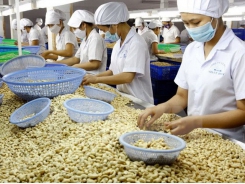 Viet Nam aims to become global agriculture powerhouse