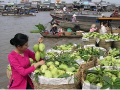 An Giang province promotes agro-fishery exports