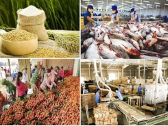 Vietnam’s agricultural exports set high growth target despite difficulties