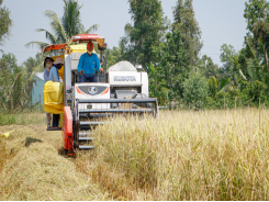 Vietnam buys Indian rice for first time in decades: industry officials