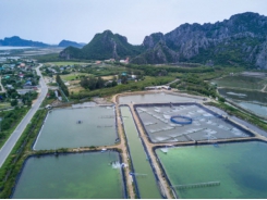 Vietnam to help Sri Lanka develop fisheries, aquaculture sectors