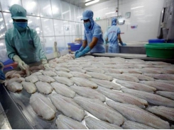 Pangasius fish exports to UK surge