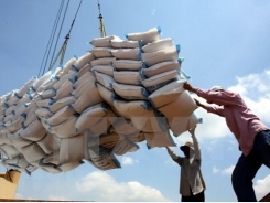 Q1 rice export outlook remains promising