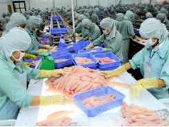 Vietnamese pangasius exporters urged not to panic as China conducts additional inspections