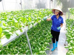 Vietnam agro-forestry-fisheries exports to reach US$50 billion revenue by 2025