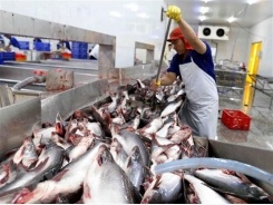 Vietnam’s seafood production rises in third quarter