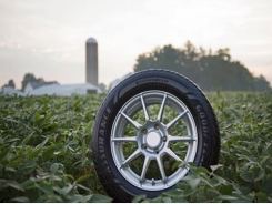 Goodyear cam kết dùng dầu đậu nành bền vững sản xuất lốp xe