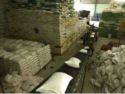 Total of 205 traders allowed to export rice