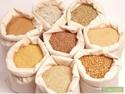 Giá ngũ cốc ngày 25/3/2022: Đậu tương, ngô, lúa mì tăng