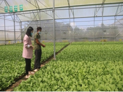 Bà Rịa - Vũng Tàu Province keen on developing high-tech agriculture