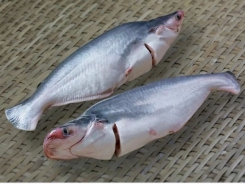 4 companies exporting pangasius to the US under no anti-dumping tax