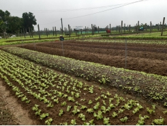 Developing a green and sustainable agriculture