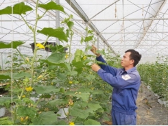 Nghe An province posts the highest agriculture growth in the north-central region in 2021