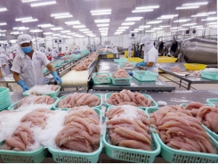 Seafood exports projected to exceed USD 8.8 billion