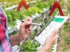 14 agritech startups to watch, according to top investors
