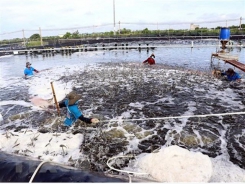 Aquaculture output grows 4.17 percent to 4.75 million tonnes