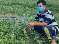 Trucks stranded at border gates watermelon farmers on pins and needles
