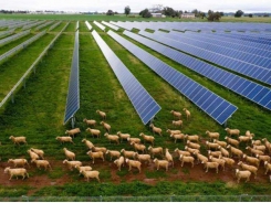 Farmers shouldn’t have to compete with solar companies for land
