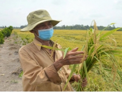 Chuyển đổi sản xuất, đa canh mới nhanh làm giàu