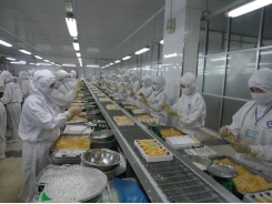 Vietnam’s shrimp exports to US exceed $1bn for first time