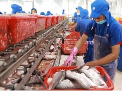 Fishery exports projected to near 8.9 billion USD this year