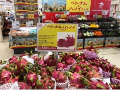 How can Vietnamese agricultural products confidently enter Japan?