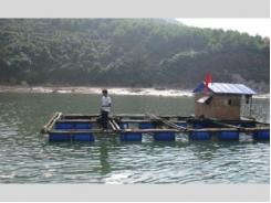 Đánh Giá Mô Hình Nuôi Cá Lồng Tại Vùng Tái Định Cư Thủy Điện Sơn La