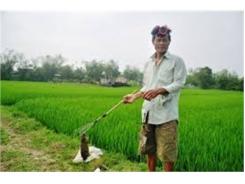 Chất Chà Phương Pháp Mới Bắt Chuột Đồng Hiệu Quả