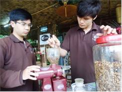 Moka Năng Suất Thấp Nhưng Giá Trị Cao
