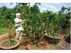 Nông Dân Làm Giàu Sau Xuất Ngoại