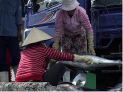 Tình hình khai thác nuôi trồng thủy sản tại Khánh Hòa quý 1-2015
