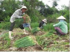 Trao “cần câu” cho nông dân