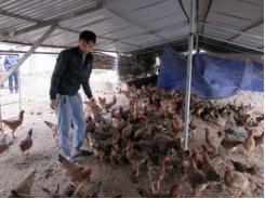 Cử nhân 8X thích bị giời đày