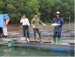 Nuôi cá lồng trên các hồ chứa tiềm năng còn bỏ ngỏ