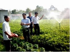 Trà Vinh tưới phun tiết kiệm nước giúp ruộng đậu phộng bội thu giữa cánh đồng khô hạn