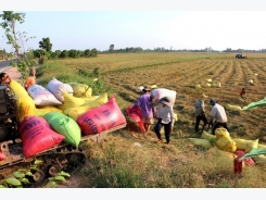 Land accumulation must benefit farmers