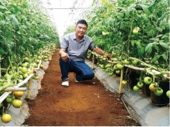 Dutch plant seeds of cooperation in Vietnam
