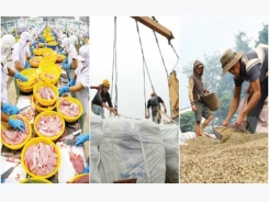 Agro-forestry-fisheries products export gains 7.6 billion USD