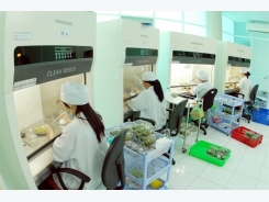 VN farm firms seek high-tech