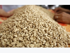 Vietnamese robusta coffee prices fall to four-month low, trade at standstill